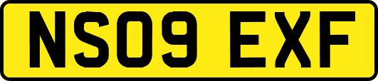 NS09EXF