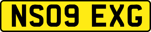 NS09EXG