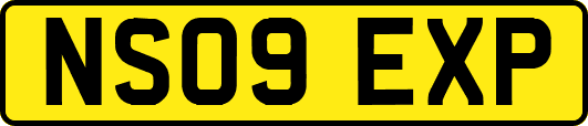 NS09EXP