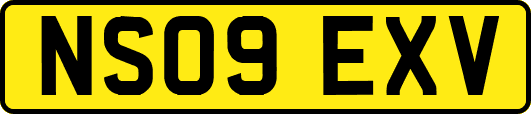 NS09EXV