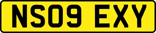 NS09EXY