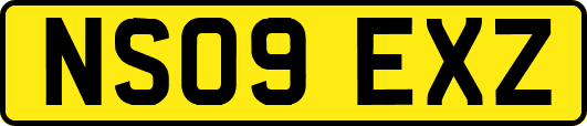 NS09EXZ