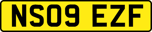 NS09EZF