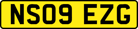 NS09EZG