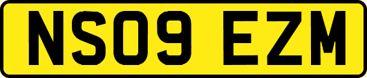 NS09EZM