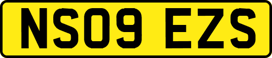 NS09EZS