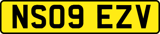 NS09EZV