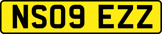 NS09EZZ