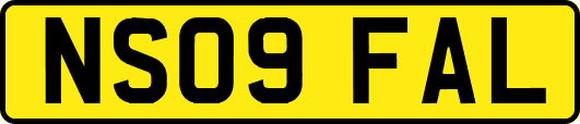NS09FAL