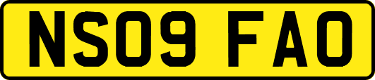 NS09FAO