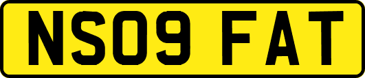 NS09FAT