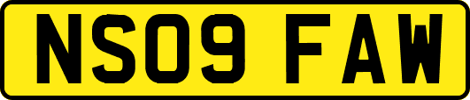 NS09FAW