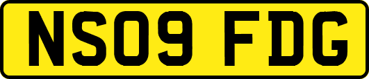 NS09FDG