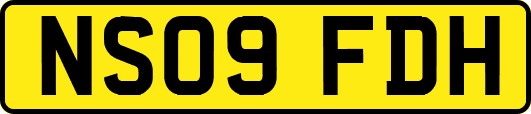 NS09FDH