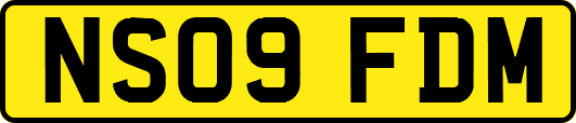 NS09FDM