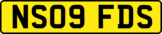 NS09FDS