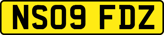 NS09FDZ