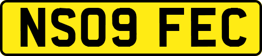 NS09FEC