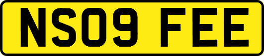 NS09FEE