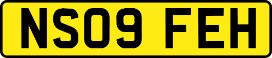 NS09FEH