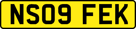 NS09FEK