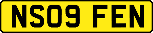 NS09FEN