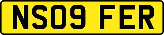 NS09FER
