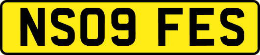 NS09FES