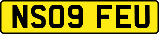 NS09FEU