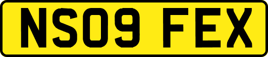 NS09FEX