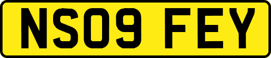 NS09FEY