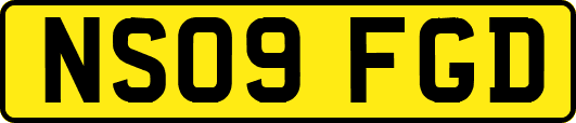 NS09FGD