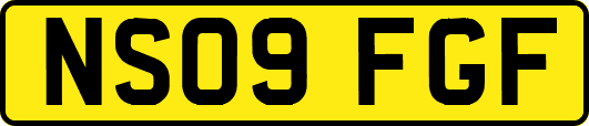 NS09FGF