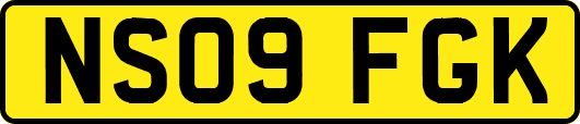 NS09FGK