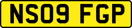 NS09FGP