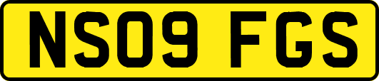 NS09FGS