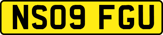 NS09FGU