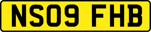 NS09FHB