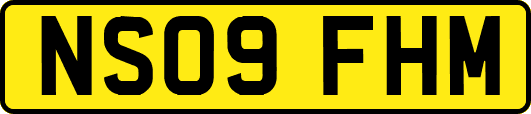 NS09FHM