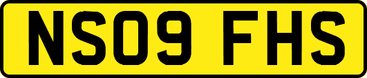 NS09FHS