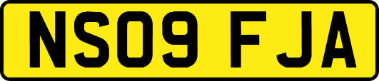 NS09FJA