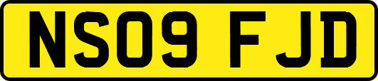 NS09FJD