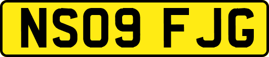NS09FJG