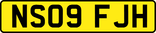 NS09FJH