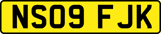 NS09FJK