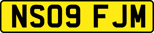 NS09FJM