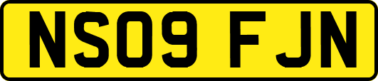 NS09FJN