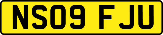 NS09FJU