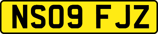 NS09FJZ