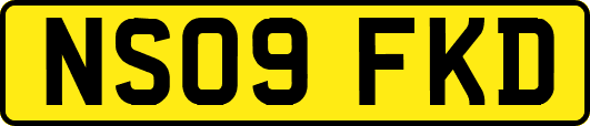 NS09FKD